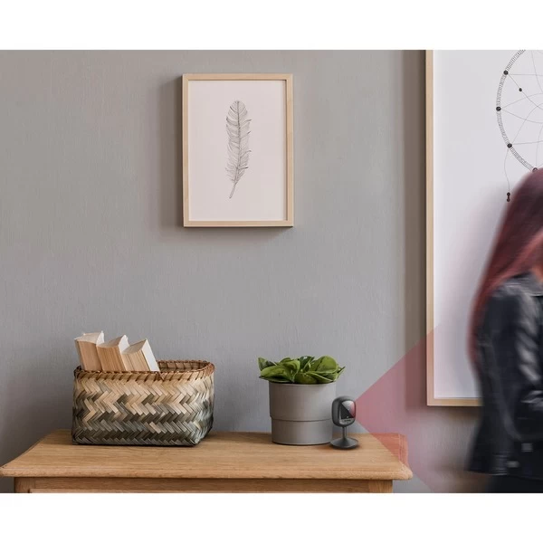 D Link D-Link DCS-6100LH/E, Überwachungskamera 5 D Link D-Link DCS-6100LH/E, Überwachungskamera – Bild 5