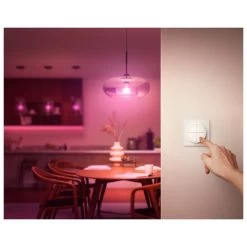 Philips Hue Tap Dial, Taster -Intelligentes Zuhause Geschäft Philips Hue Tap Dial Taster@@1855349 7